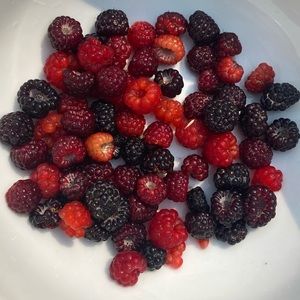 Meet your Posher, Valer